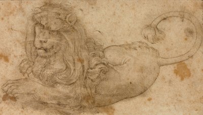 Study of a Lion by Lucas Cranach the Elder